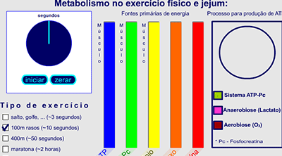 Metabolismo exercício físico e jejum